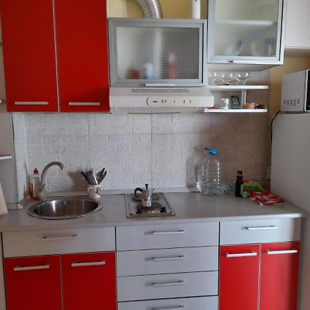 Nasty Apartament Костинешти Экстерьер фото